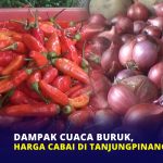 Dampak Cuaca Buruk, Harga Cabai di Tanjungpinang Naik