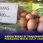 Harga Beras di Tanjungpinang Naik, Pedagang Mulai Sulit Cari Pasokan