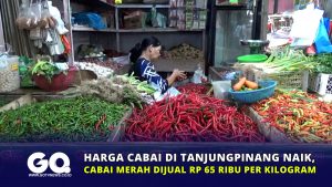 Harga Cabai di Tanjungpinang Naik, Cabai Merah Dijual Rp 65 Ribu per Kilogram