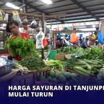 Harga Sayuran di Tanjungpinang Mulai Turun