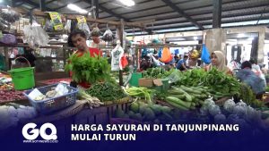 Harga Sayuran di Tanjungpinang Mulai Turun