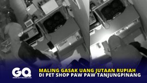 Maling Gasak Uang Jutaan Rupiah di Pet Shop Paw Paw Tanjungpinang