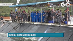 TNI AL Panen Raya 4 Ton Udang Vaname di Batam
