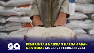 Pemerintah Naikkan Harga Gabah dan Beras Mulai 27 Februari 2023