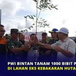 PWI Bintan Tanam 1000 Bibit Pohon di Lahan Eks kebakaran Hutan