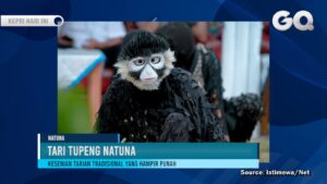 Tari Tupeng Natuna, Ritual Pengobatan yang Hampir Punah