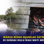 Warga Resah Sejumlah Satwa di Sungai Hulu Riau Mati Mendadak