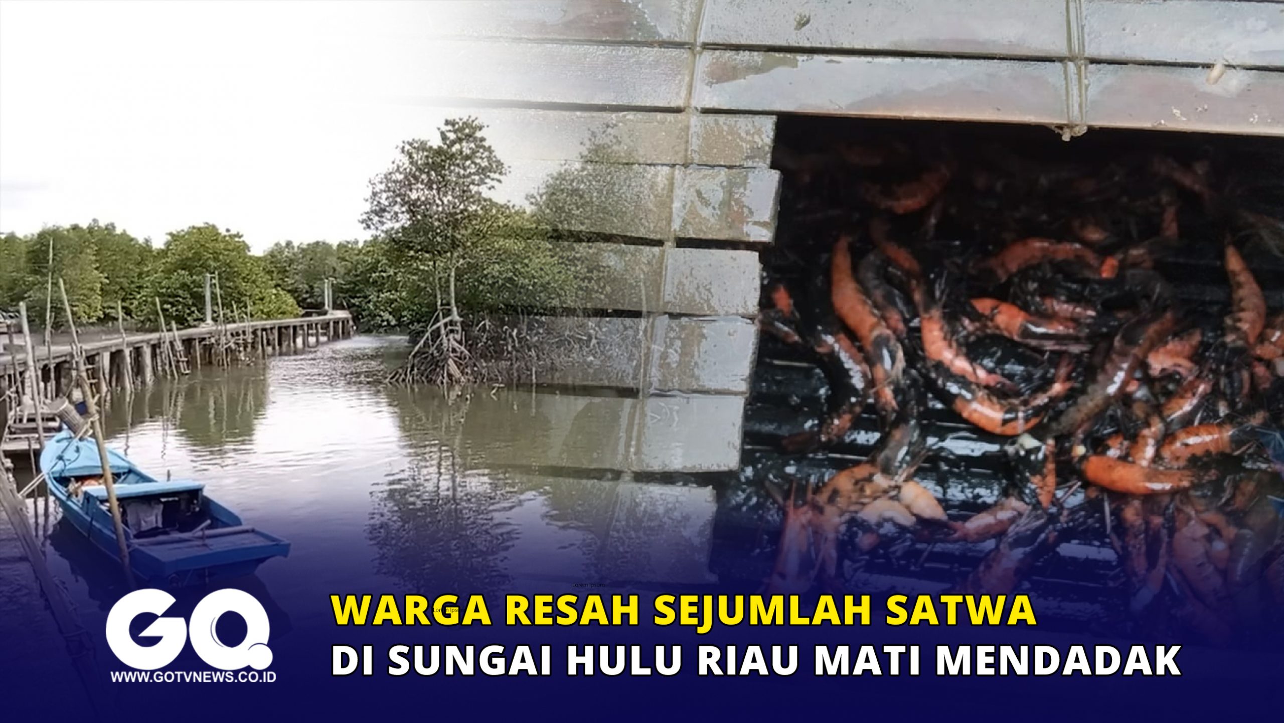Warga Resah Sejumlah Satwa di Sungai Hulu Riau Mati Mendadak