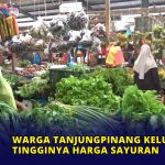 Warga Tanjungpinang Keluhkan Tingginya Harga Sayuran