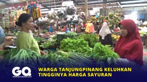 Warga Tanjungpinang Keluhkan Tingginya Harga Sayuran