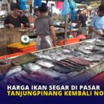 Harga Ikan Segar di Pasar Tanjungpinang Kembali Normal