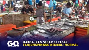 Harga Ikan Segar di Pasar Tanjungpinang Kembali Normal