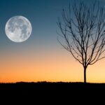 Fenomena Super New Moon Sebabkan Banjir Rob