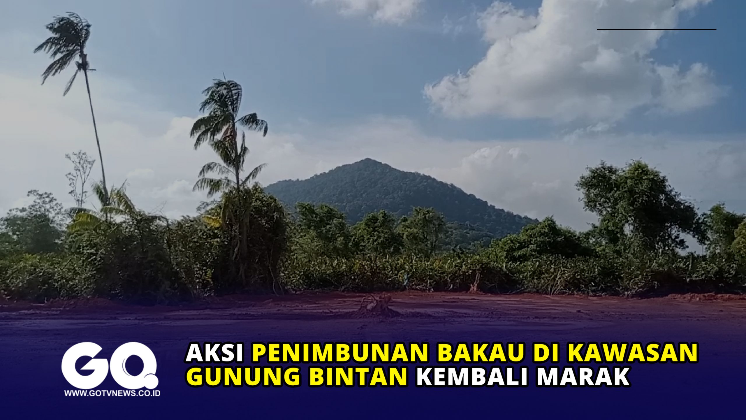 Aksi Penimbunan Bakau di Kawasan Gunung Bintan Kembali Marak