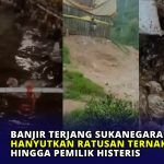 Banjir Terjang Sukanegara Cianjur, Hanyutkan Ratusan Ternak hingga Pemilik Histeris