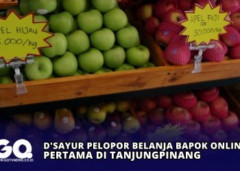 D'Sayur Pelopor Belanja Bapok Online Pertama di Tanjungpinang