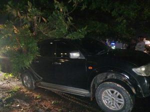 Lagi, Pohon Tumbang Timpa Mobil di Depan Hotel Comfort Tanjungpinang