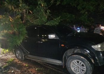 Lagi, Pohon Tumbang Timpa Mobil di Depan Hotel Comfort Tanjungpinang