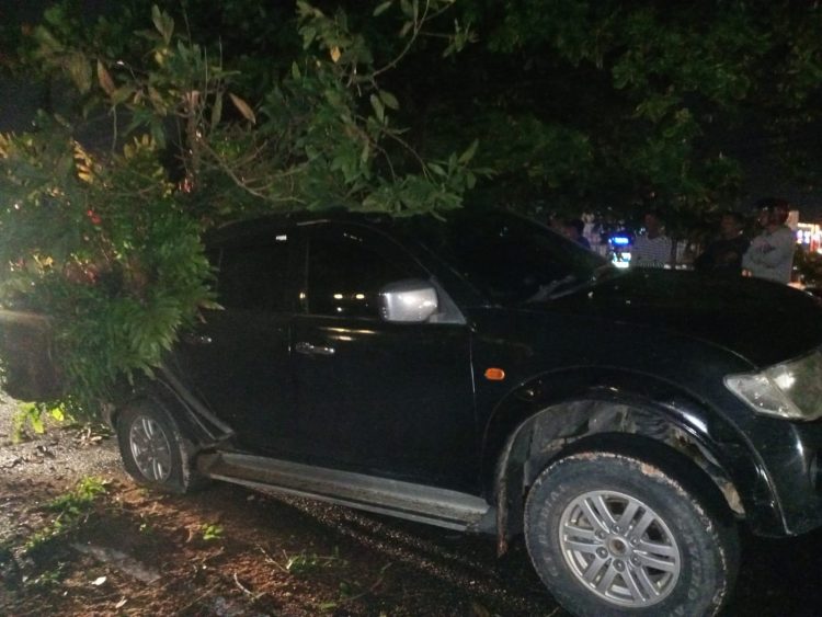 Lagi, Pohon Tumbang Timpa Mobil di Depan Hotel Comfort Tanjungpinang