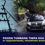 Pohon Tumbang Timpa Dua Mobil di Tanjungpinang, Penumpang Wanita Hamil Syok