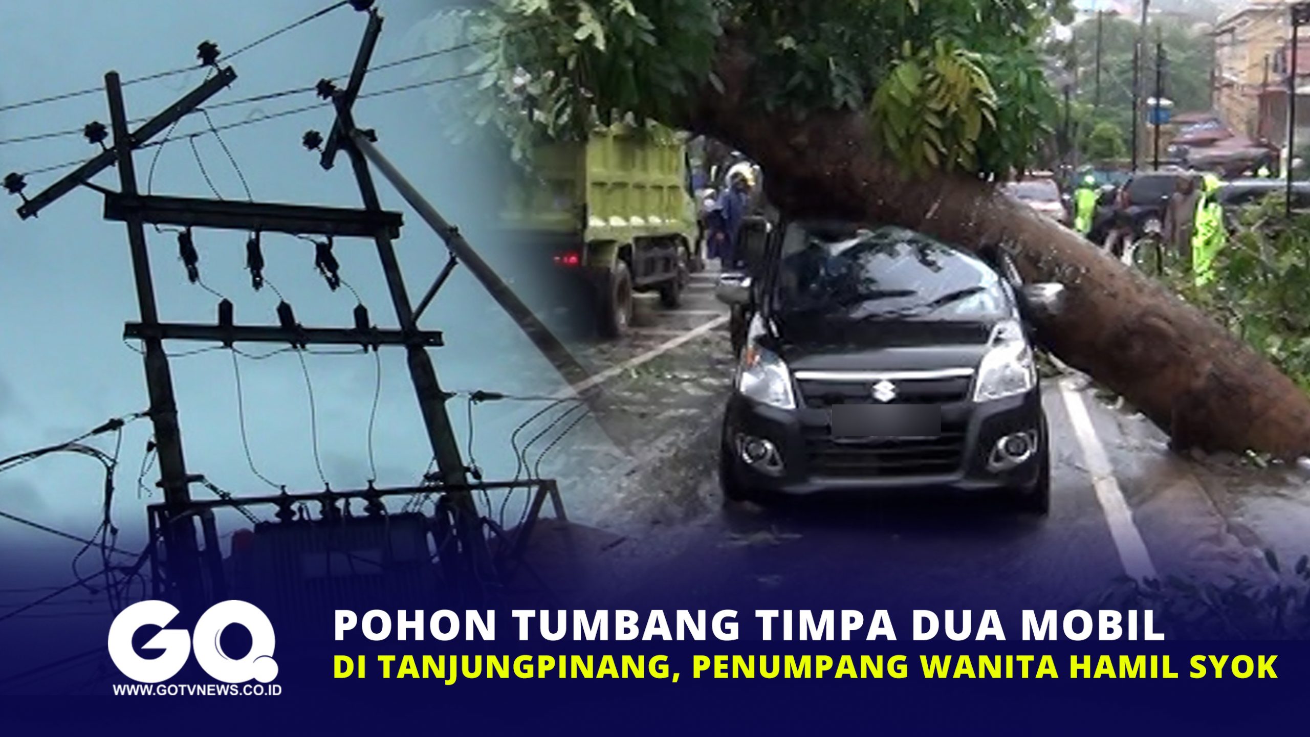 Pohon Tumbang Timpa Dua Mobil di Tanjungpinang, Penumpang Wanita Hamil Syok