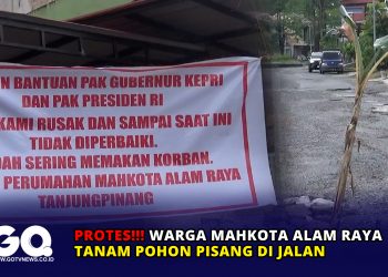 Protes, Warga Mahkota Alam Raya Tanam Pohon Pisang di Jalan
