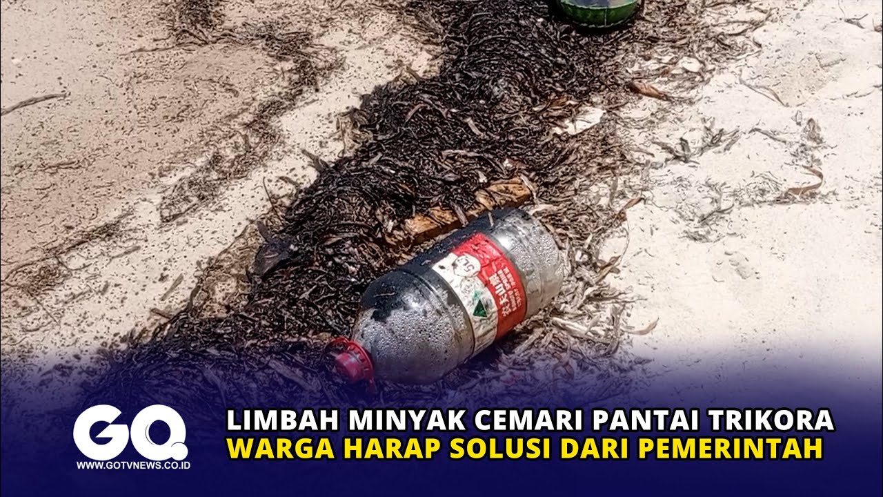 Limbah Minyak Cemari Pantai Trikora, Warga Harap Solusi dari Pemerintah