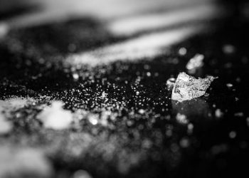 Resahkan Warga, Seorang Pengedar Sabu Ditangkap Polsek Tanjungpinang Kota