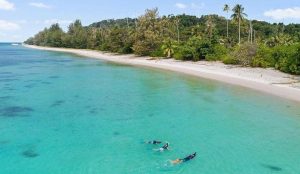 Jelajah Pesona Bawah Laut di Pulau Mapur Bintan