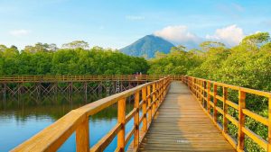 Objek Wisata Mangrove Pering Natuna, Wisata Berwawasan Lingkungan