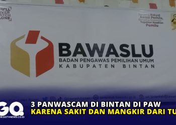3 Panwascam di Bintan di PAW karena Sakit dan Mangkir dari Tugas