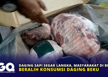 Daging Sapi Segar Langka, Masyarakat di Bintan Beralih Konsumsi Daging Beku