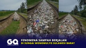 Fenomena Sampah Berjalan di Sungai Wonomulyo Sulawesi Barat