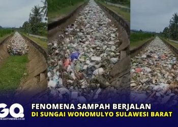 Fenomena Sampah Berjalan di Sungai Wonomulyo Sulawesi Barat