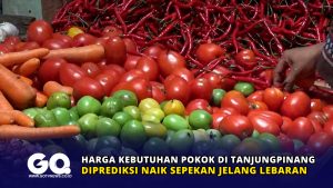 Harga Kebutuhan Pokok di Tanjungpinang Diprediksi Naik Sepekan Jelang Lebaran