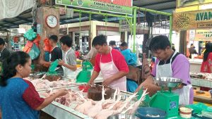 Harga Ayam Potong di Tanjungpinang Merangkak Naik
