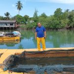 Ribuan Ikan Mati Mendadak, Kelompok Pembudidaya di Bintan Rugi Rp 2 Miliar