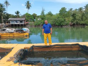 Ribuan Ikan Mati Mendadak, Kelompok Pembudidaya di Bintan Rugi Rp 2 Miliar