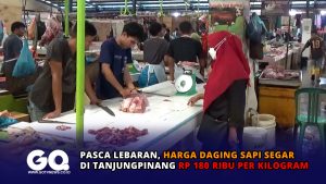 Pasca Lebaran, Harga Daging Sapi Segar di Tanjungpinang Rp 180 Ribu per Kilogram