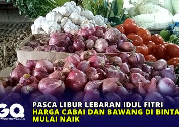 Pasca Libur Lebaran Idul Fitri, Harga Cabai dan Bawang di Bintan Mulai Naik