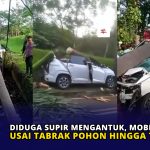 Diduga Supir Mengantuk, Mobil Ringsek usai Tabrak Pohon hingga Tumbang