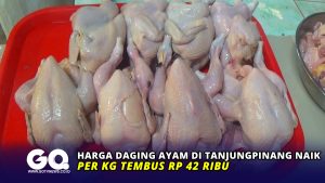 Harga Daging Ayam di Tanjungpinang Naik, per Kg Tembus Rp 42 Ribu