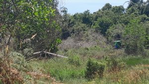 Waduh, Tambang Pasir Ilegal di Bintan Marak Lagi