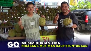 Musim Durian Tiba, Pedagang Musiman Raup Keuntungan