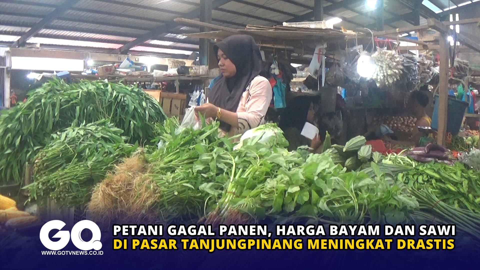 Petani Gagal Panen, Harga Bayam dan Sawi di Pasar Tanjungpinang Meningkat Drastis