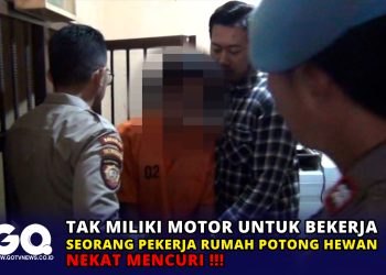 Tak Miliki Motor untuk Bekerja, Seorang Pekerja Rumah Potong Hewan Nekat Mencuri