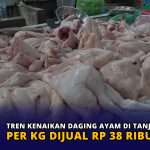 Tren Kenaikan Daging Ayam di Tanjungpinang, per Kg Dijual Rp 38 Ribu