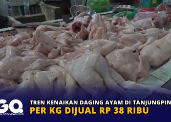 Tren Kenaikan Daging Ayam di Tanjungpinang, per Kg Dijual Rp 38 Ribu