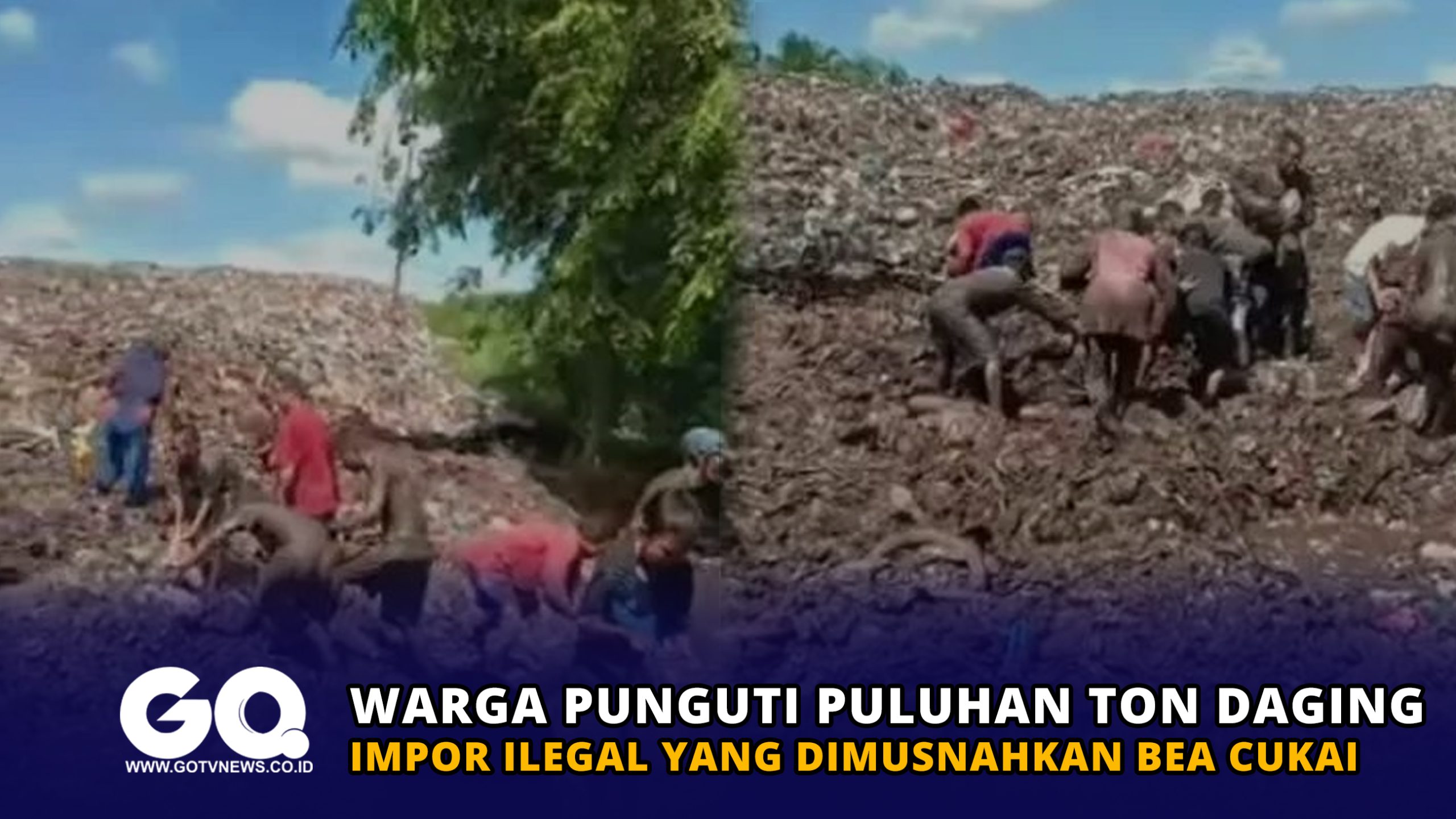 Warga Punguti Puluhan Ton Daging Impor Ilegal yang Dimusnahkan Bea Cukai