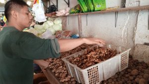 Petani Gagal Panen, Harga Kencur di Tanjungpinang Melonjak